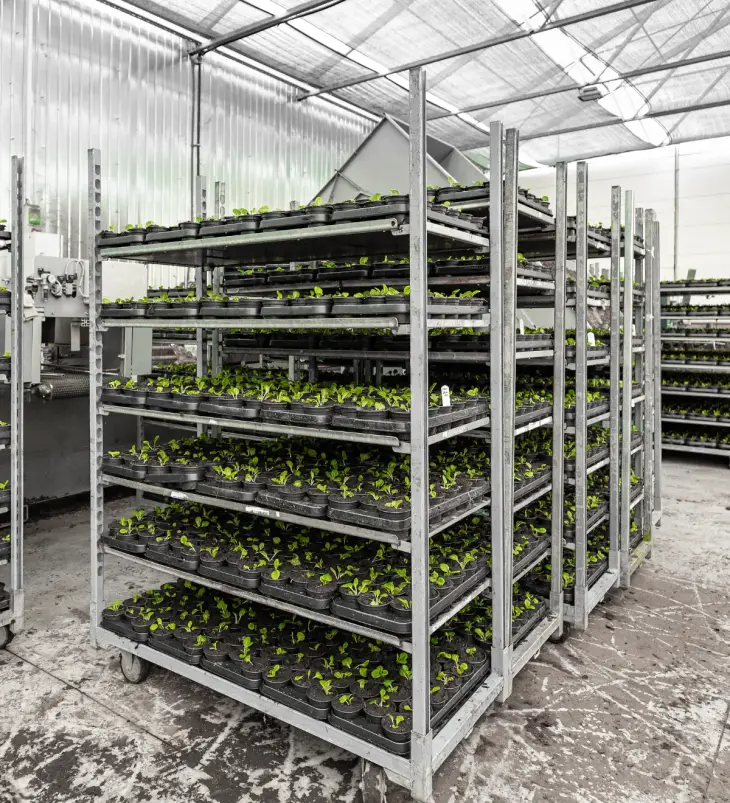 Vertical Farming Racks