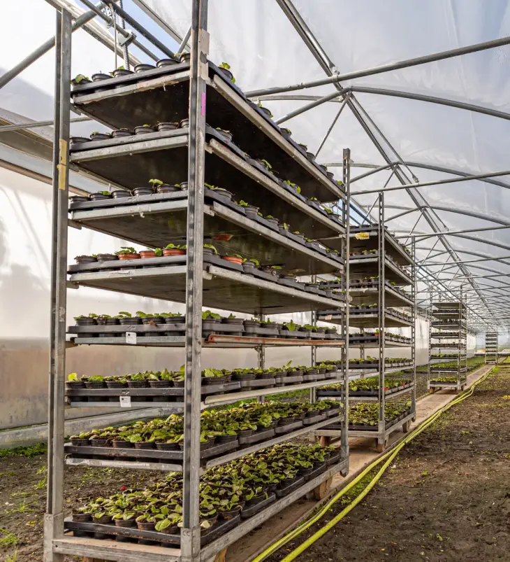 Vertical Farming Racks