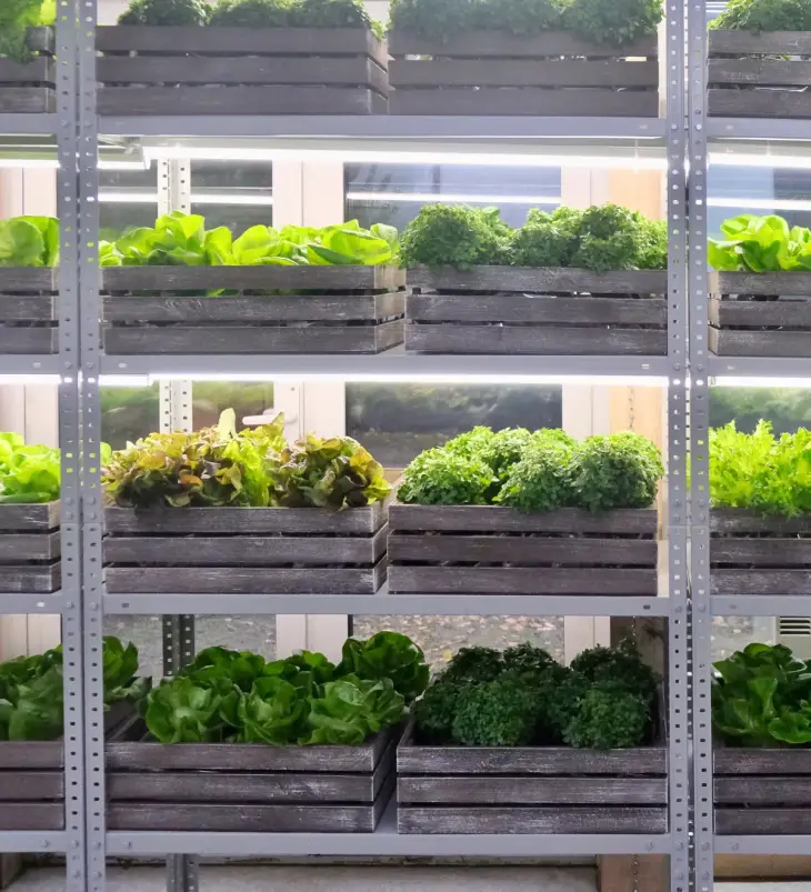 Vertical Farming Racks